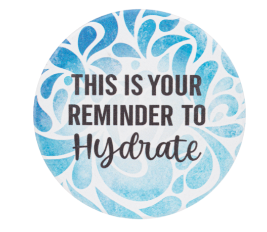 This is Your Reminder to Hydrate Car Coaster