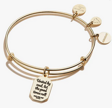 Load image into Gallery viewer, Alex and Ani Friend Bangle in Silver or Gold
