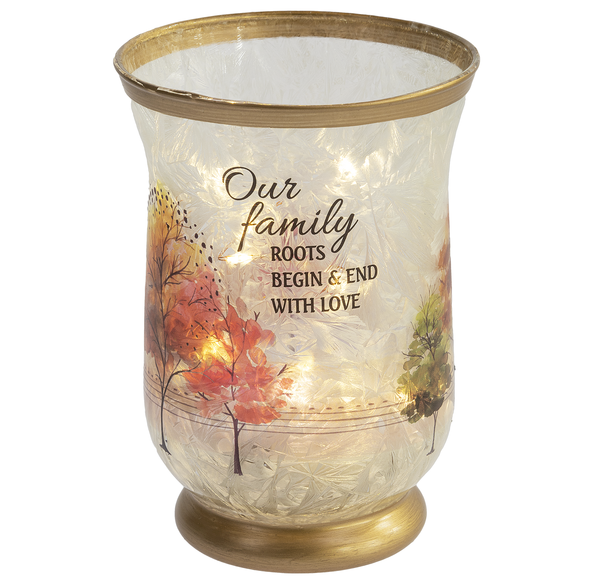 Family Light Up Frosted Twinkle Jars