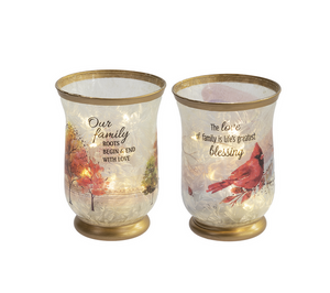 Family Light Up Frosted Twinkle Jars