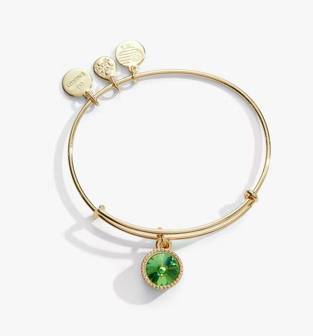 Alex and ani birthstone 2025 bracelet february