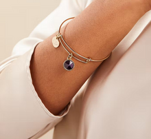 Load image into Gallery viewer, Alex and Ani February Birthstone Bangle in Silver or Gold- Amethyst
