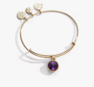 Alex and Ani February Birthstone Bangle in Silver or Gold- Amethyst