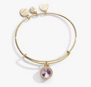 Alex and ani october on sale birthstone