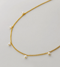 Load image into Gallery viewer, Bryan Anthonys Grit Choker In Silver or Gold
