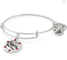 Load image into Gallery viewer, Alex and Ani Team USA- 50% off!

