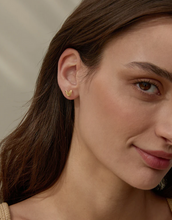 Load image into Gallery viewer, Bryan Anthonys All In Stud Earrings In Silver or Gold
