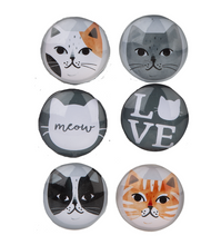 Load image into Gallery viewer, Cat Glass Magnets - 6pc Set

