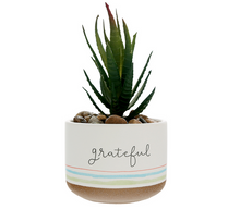 Load image into Gallery viewer, Grateful - 5&quot; Artificial Potted Plant
