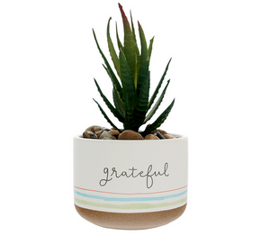 Grateful - 5" Artificial Potted Plant