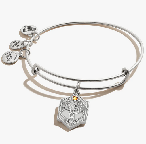 Alex and ani 2025 path of life anklet