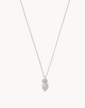Load image into Gallery viewer, Spartina Silver Forever Friends Necklace
