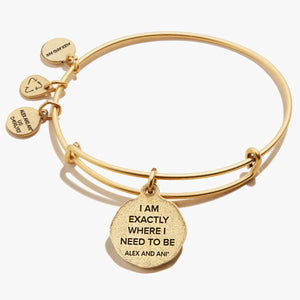 Alex and Ani Path of Life Bracelet In Silver or Gold