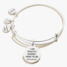 Load image into Gallery viewer, Alex and Ani Path of Life Bracelet In Silver or Gold
