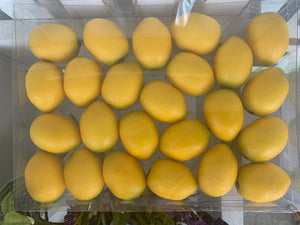 Box of Faux Lemons