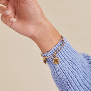 Alex and Ani 'Sisters By Chance, Friends By Choice' Bracelet in Silver or Gold